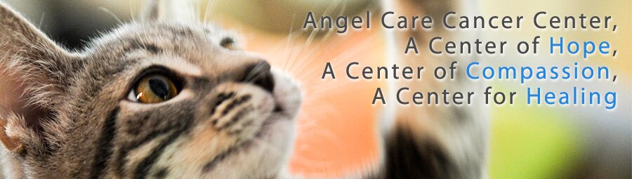 Banner 1!