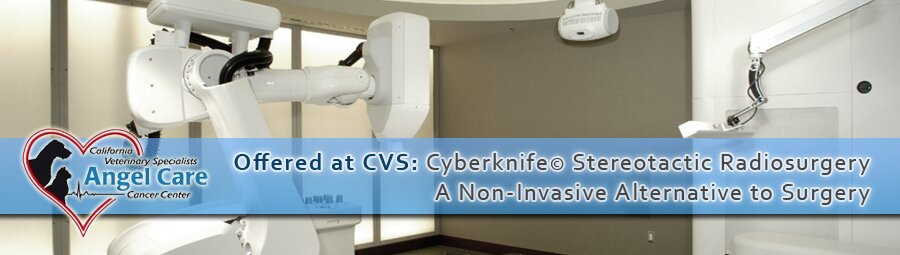 Cyber Knife